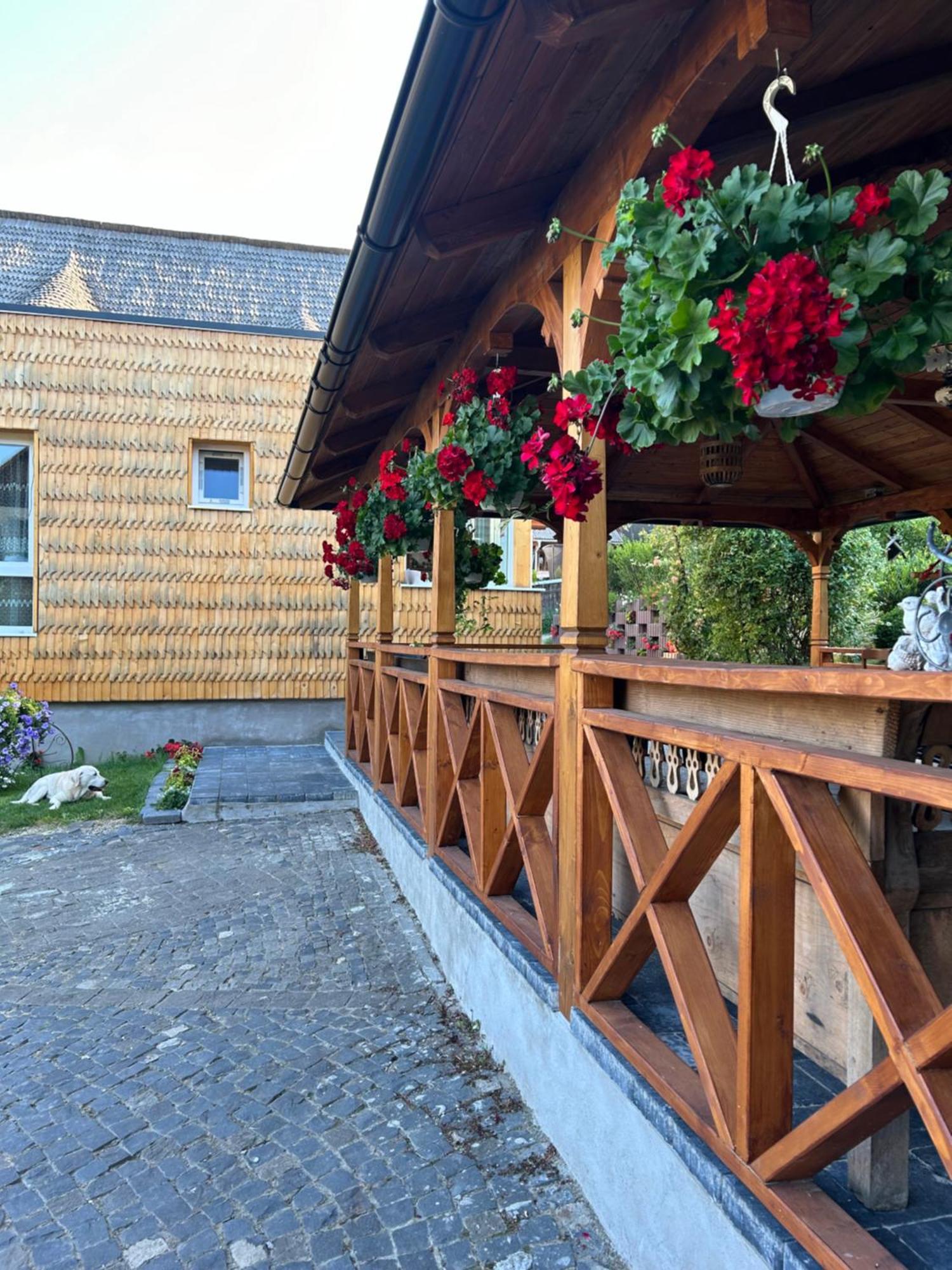 Casa Cu Magnolii Hotel Poienile Izei Eksteriør billede