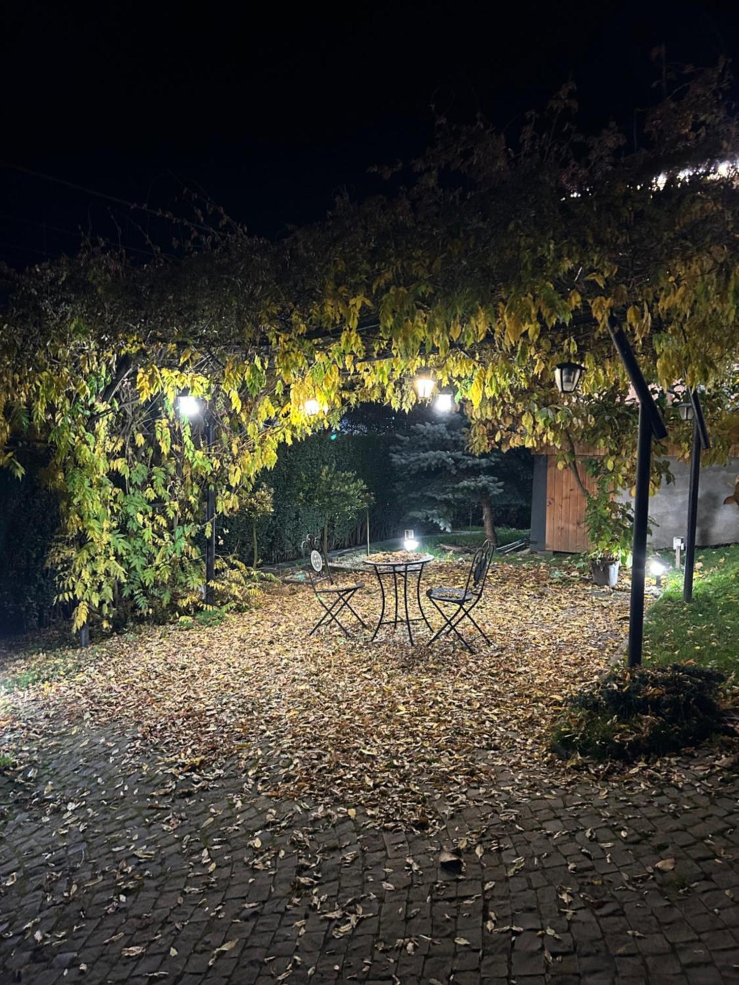 Casa Cu Magnolii Hotel Poienile Izei Eksteriør billede